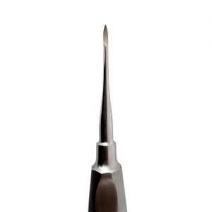 Elevador dental recto Heidenbrick hecho de acero inoxidable, marca 6b invent. Deposito Dental Dentalmex Tienda Online