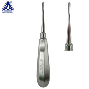 Elevador de extracción dental Recto de 3 mm de ancho Tipo Bein marca 6B invent. Deposito Dental Dentalmex Tienda Online