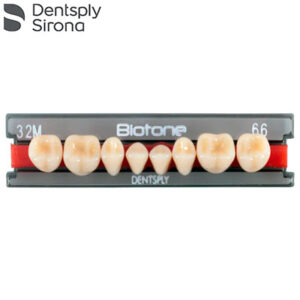 Dientes posteriores biotone dentsply. Deposito Dentalmex